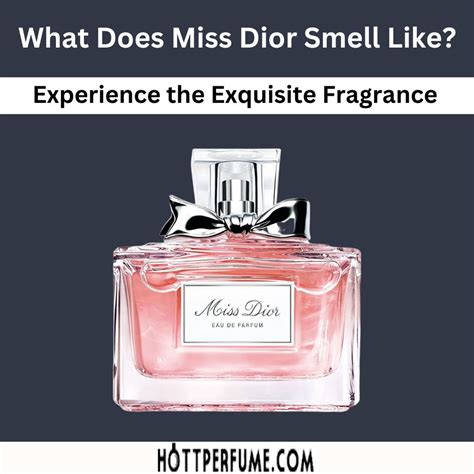 dior perfume smells like|Dior perfume online shop.